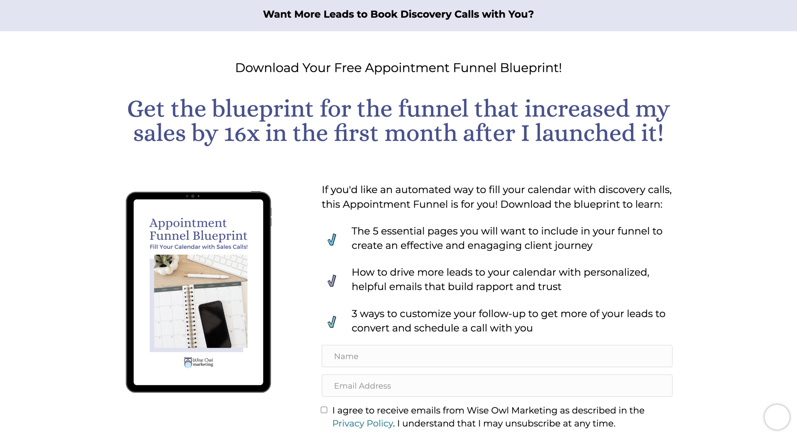 Blueprint lead magnet landing page example - screenshot of an opt-in page. 